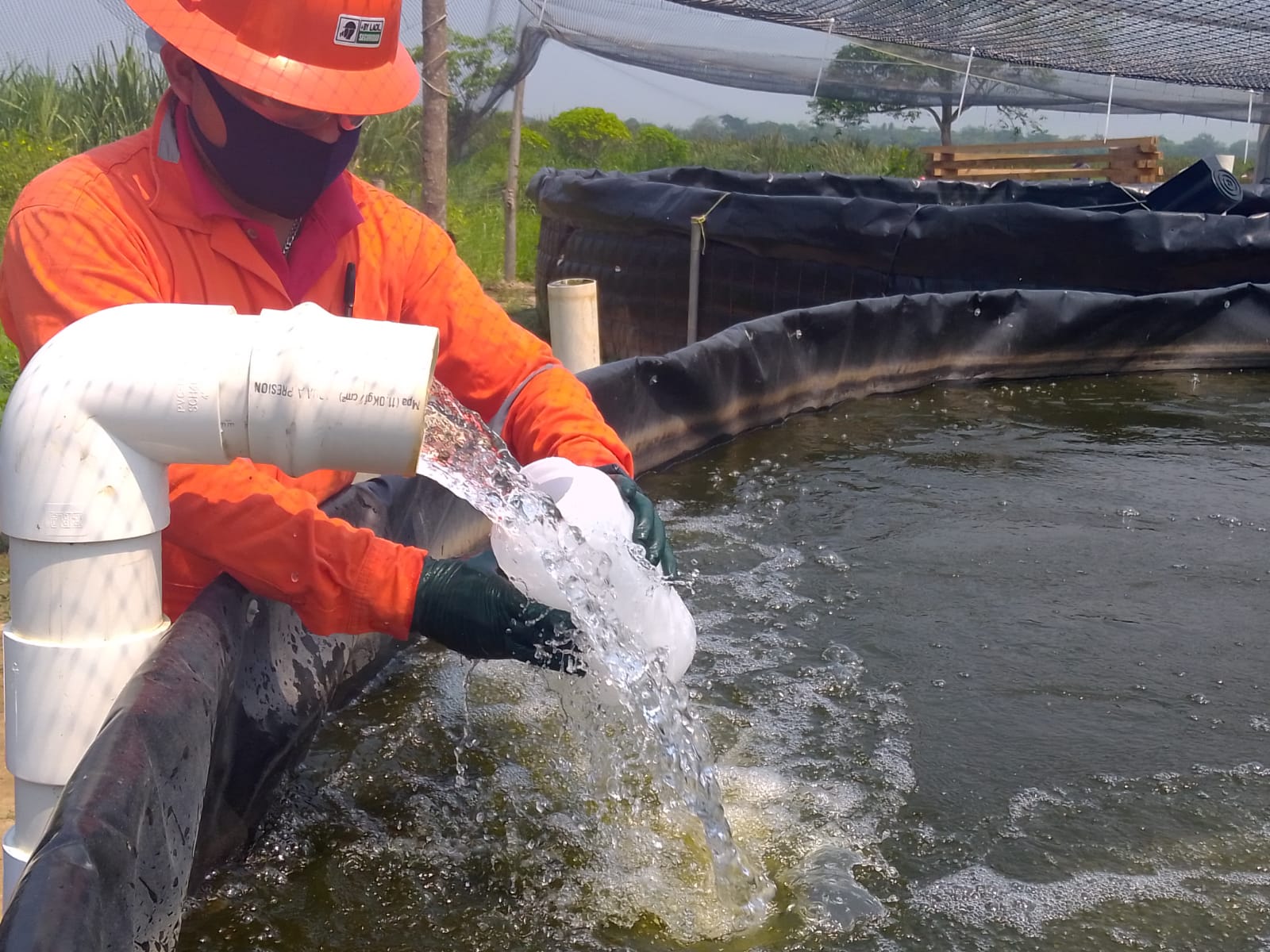 WhatsApp Image 2021-08-13 at 11.59.51 AM (1)