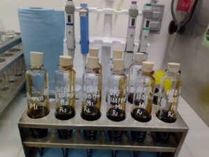 Laboratorio de ensayos